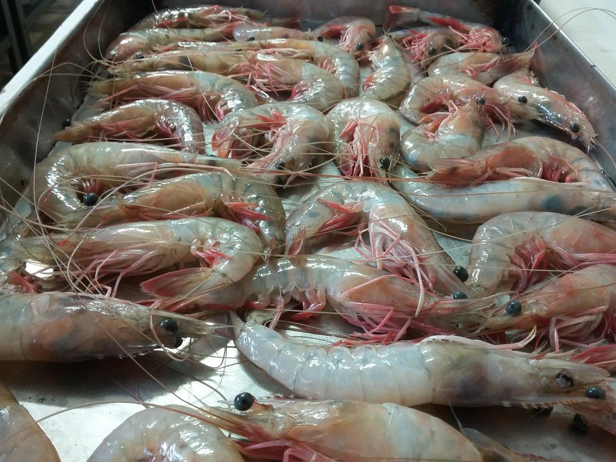 Pousada Chef Brasil Barra Velha  Exteriér fotografie